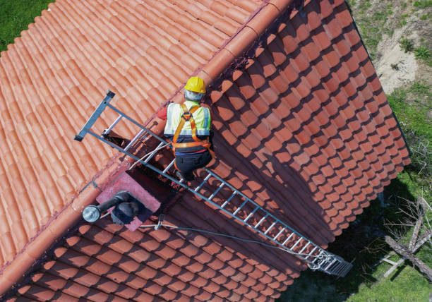 Best Roof Maintenance and Cleaning  in Dyer, IN